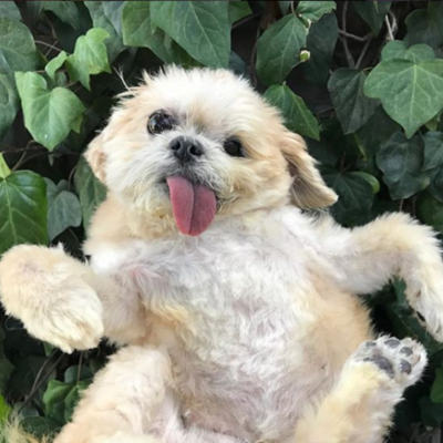 Timeline: Eix Cronològic