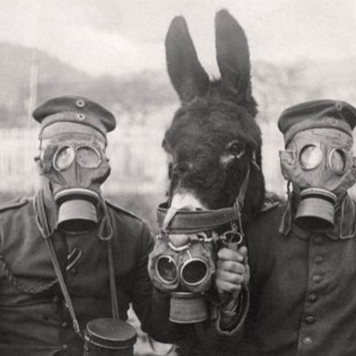 Timeline: Primera Guerra Mundial