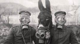 Timeline: Primera Guerra Mundial