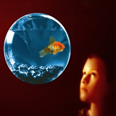 Timeline: As Origens