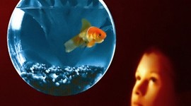 Timeline: As Origens