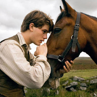 Timeline: War Horse