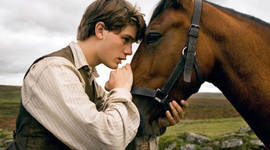 Timeline: War Horse