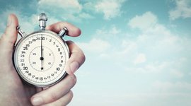 Timeline: Linia timpului  * Liga zambilelor*