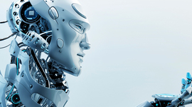 Timeline: La Rebotica Según Su Arquitectura