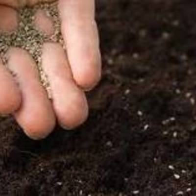 Timeline: The Seeds of America