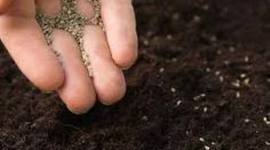 Timeline: The Seeds of America