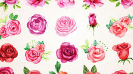 Timeline: A Rose For Emily