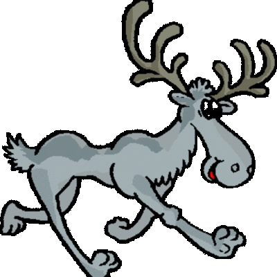 Timeline: Graduation Project