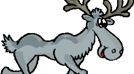 Timeline: Graduation Project