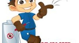 Timeline: Pest control Fort Worth is a leading provider of all pest control services in Fort Worth and North Texas.