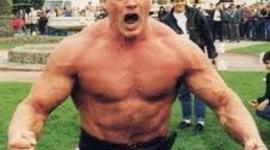 Timeline: The Odysses