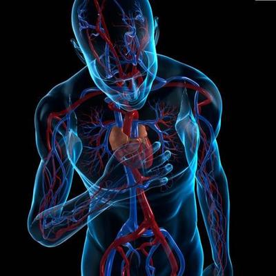 Timeline: Historia de la Patología