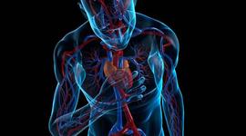 Timeline: Historia de la Patología