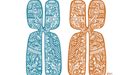 Timeline: Genética Mendeliana