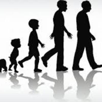 Timeline: Linea de Vida