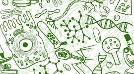 Timeline: Biología 2