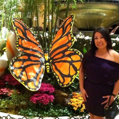 Timeline: Reading Journey