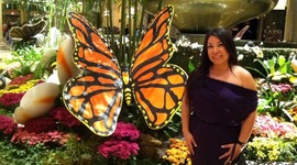 Timeline: Reading Journey