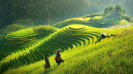 Timeline: Vietnam Timeline