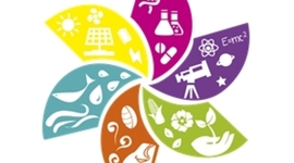 Timeline: Biología 2