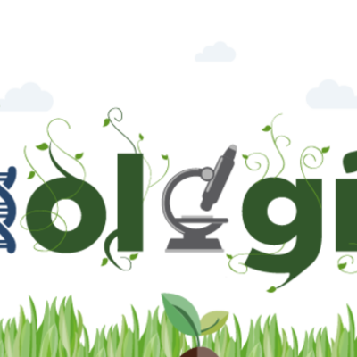 Timeline: segunda semana biologia II