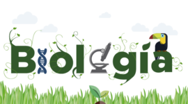 Timeline: segunda semana biologia II