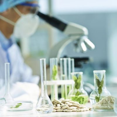 Timeline: BIOLOGIA II SEGUNDA SEMANA