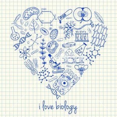 Timeline: segundo parcial