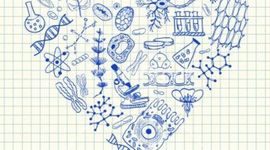 Timeline: segundo parcial