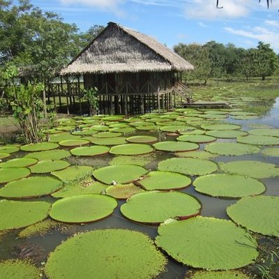 Timeline: Evolución de las políticas nacionales e internacionales en turismo de naturaleza y cultura