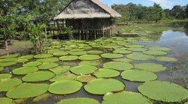 Timeline: Evolución de las políticas nacionales e internacionales en turismo de naturaleza y cultura