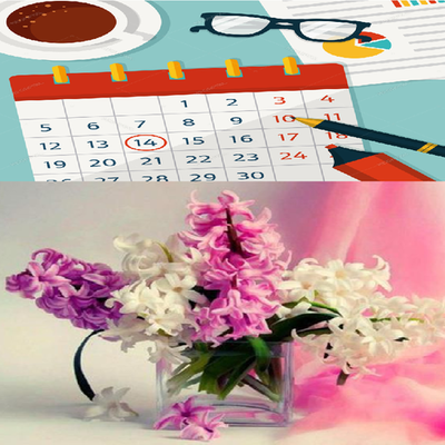 Timeline: LIGA ZAMBILELOR- TEMA 2 INDUCAS