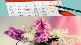 Timeline: LIGA ZAMBILELOR- TEMA 2 INDUCAS