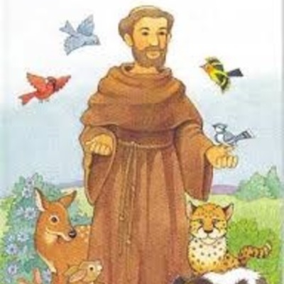 Timeline: San Francisco de Asis