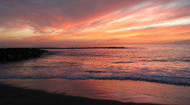 Timeline: Life of Kelsey