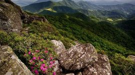 Timeline: Below The Peak