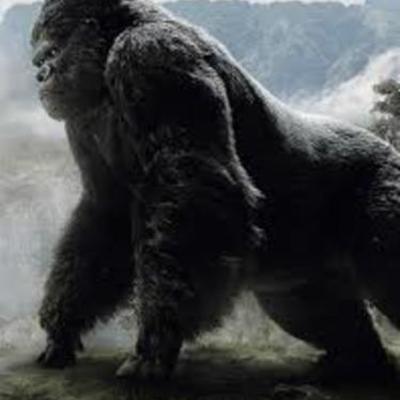 Timeline: King Kong