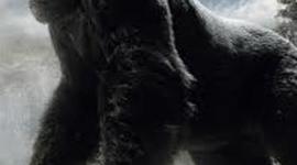 Timeline: King Kong