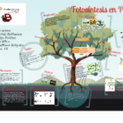 Timeline: EVOLUCIÓN DEL METABOLISMO EN LAS PLANTAS