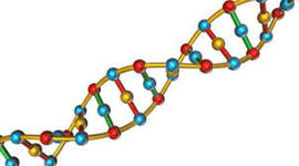 Timeline: El descubrimiento de la estructura de ADN