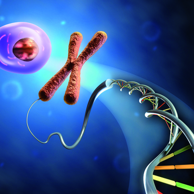 Timeline: Tiempo de estudia de la genética