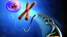 Timeline: Tiempo de estudia de la genética