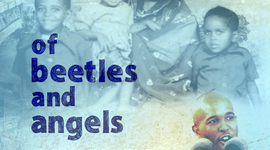 Timeline: Of Beetles and Angels