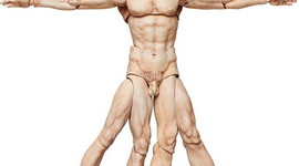 Timeline: El Hombre a través de la Historia