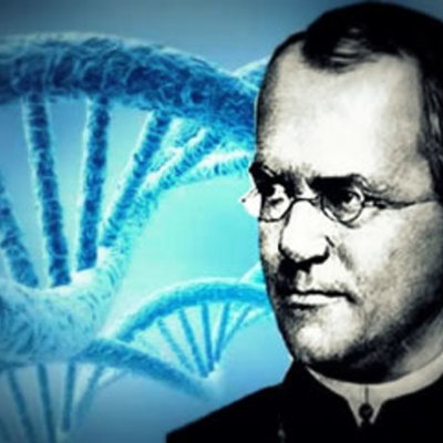 Timeline: Desarrollo de la Genética