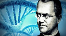 Timeline: Desarrollo de la Genética