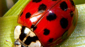 Timeline: allison's timeline