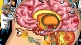 Timeline: Psiquiatría a través del Tiempo