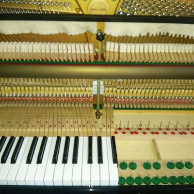 Timeline: Línea de Tiempo - Blog Aprendiendo El Mundo de los Fraccionarios